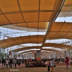 Milano: visita all’ Expo 2015