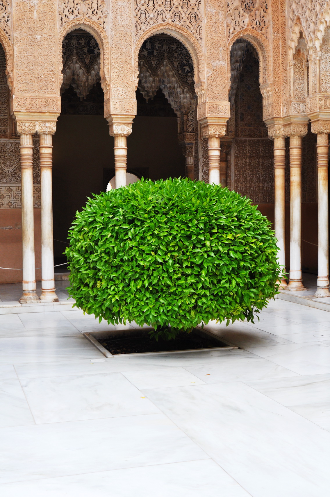 A Granada non puoi perderti l'Alhambra