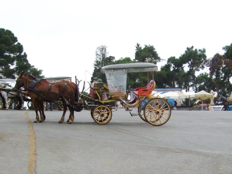 Büyükada_Istanbul_luogolungo_23
